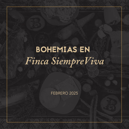 Bohemia Cocina en Movimiento / Cayey