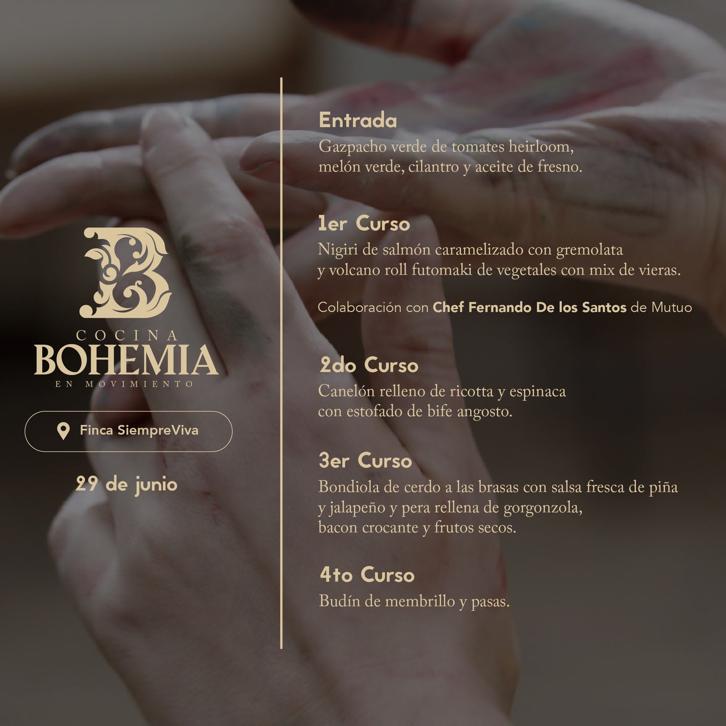 Bohemia Cocina y Arte